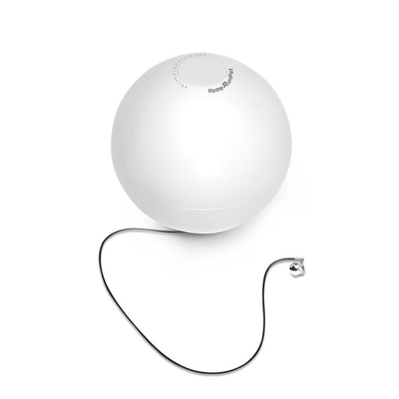 Smart play ball for dog/cat TB10 Homerunpet