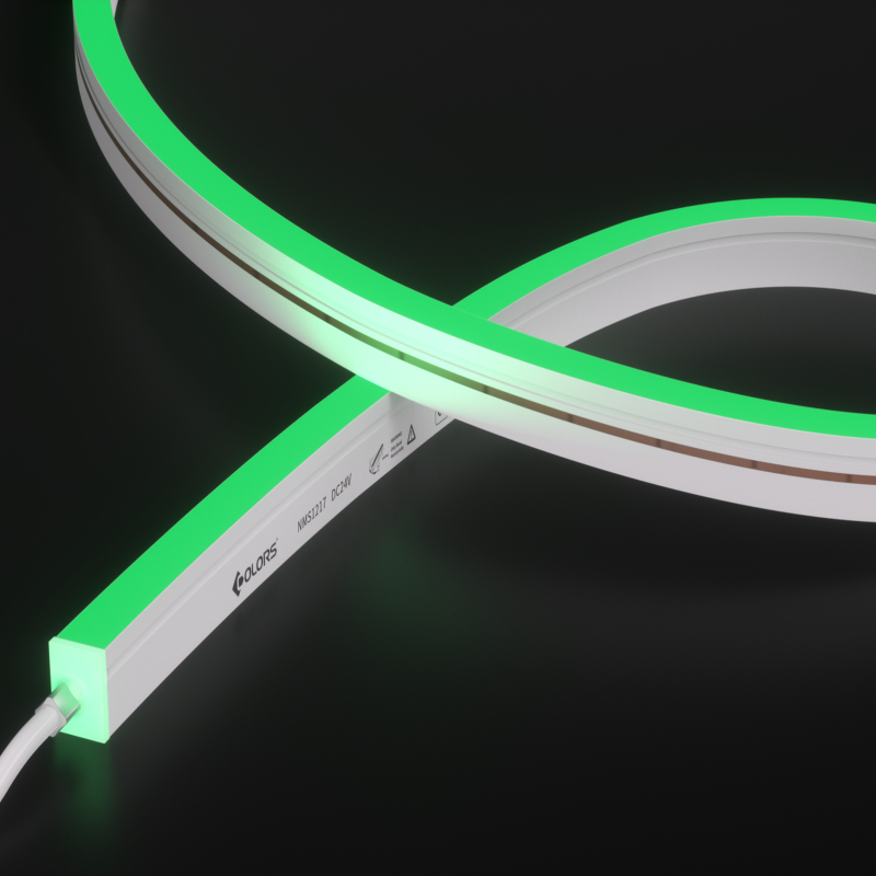 NMS1217-Color light-24V