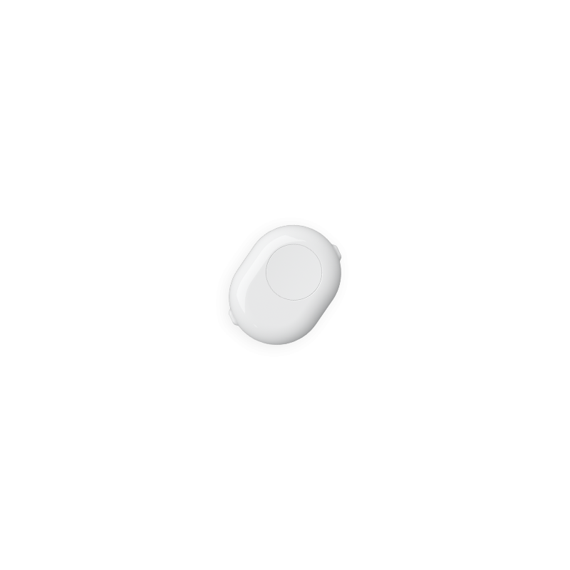 Shelly pogas adapteris