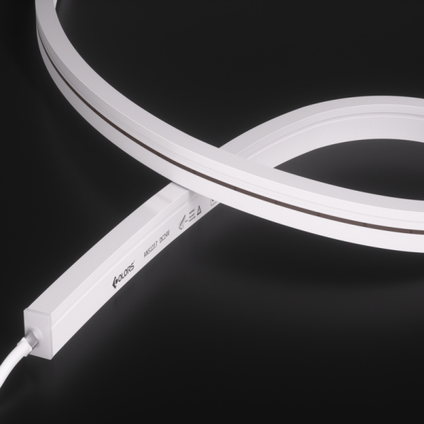 ANS1217-White light-24V