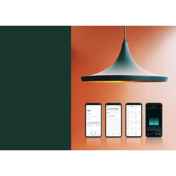 Smart wall 2 button switch Wi-Fi Black