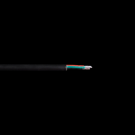 AS-WS-0031
