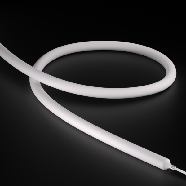 NNR25IP-White light-24V