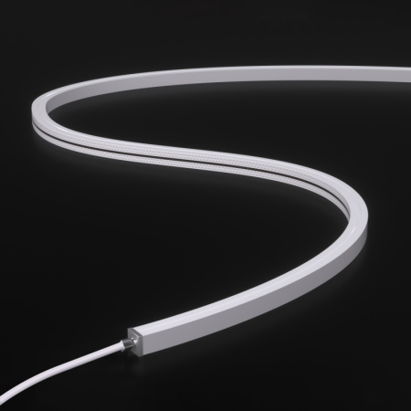 NJT1010-White light-24V