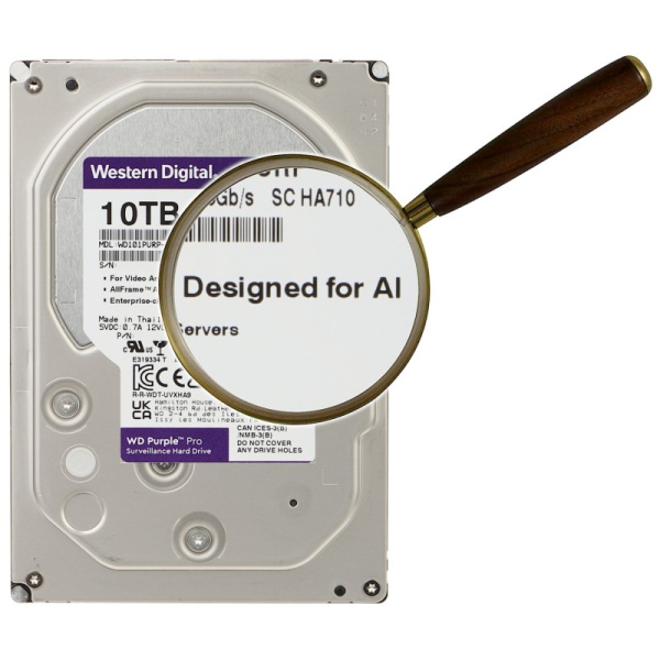 HDD DVR DVR HDD-WD101PURP 10TB 24/7 RIETUMU DIGITAL