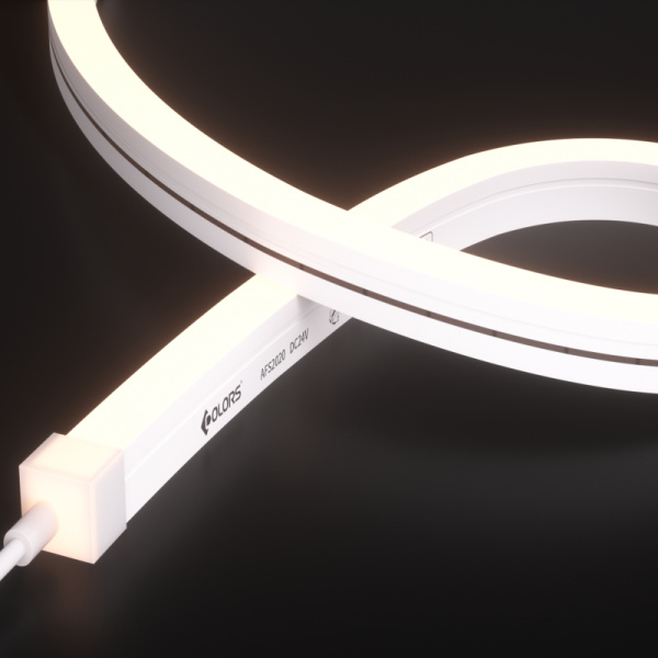 AFS2020-White light-24V