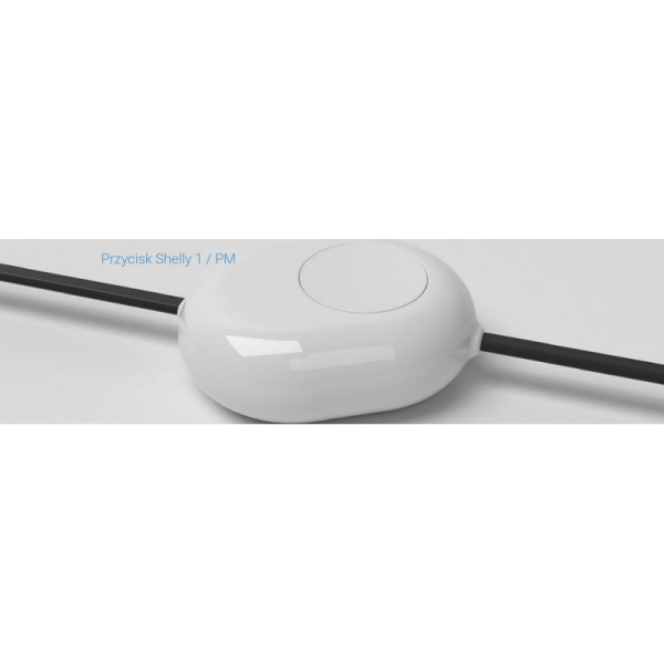 Shelly Button Adapter