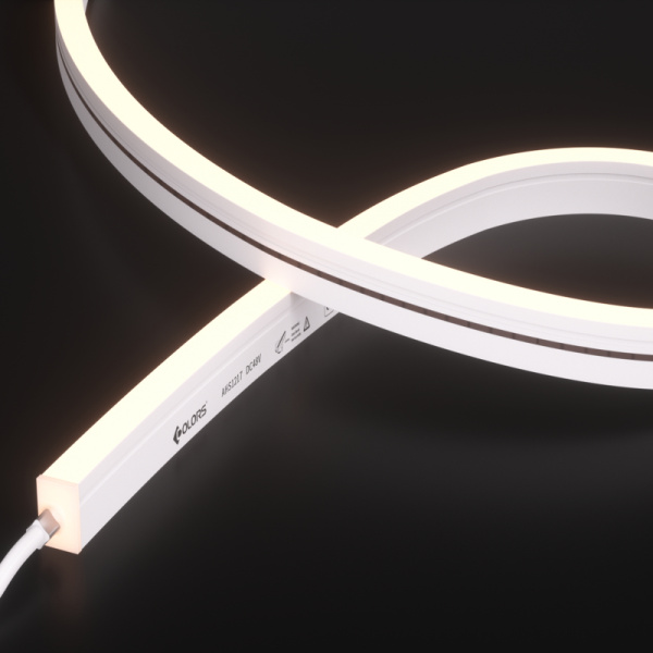 AHS1217-White light-48V