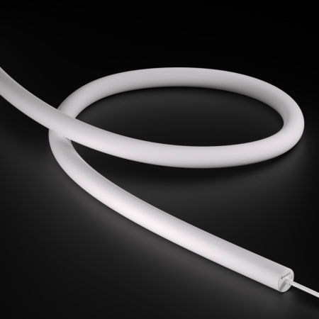 NNR30-White light-24V