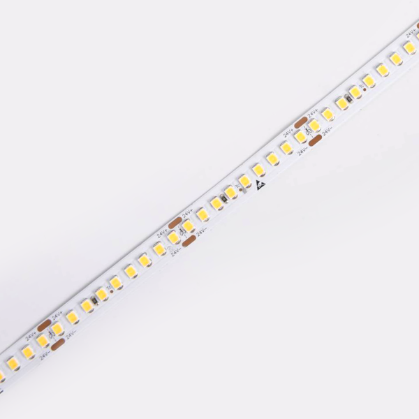 D8180-24V-10mm