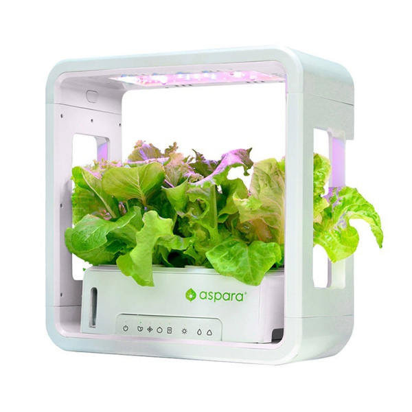 SmartPot Stylist Lite Gudrais audzētājs aspara by GrowGreen