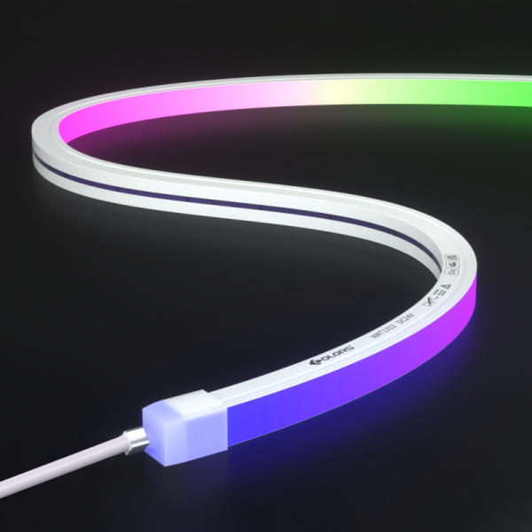 NMT1312-SPI neon light-24V