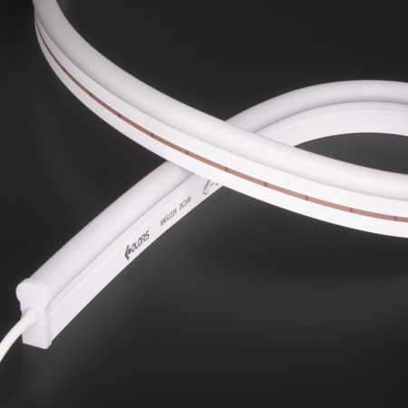 NNS1224-White light-24V